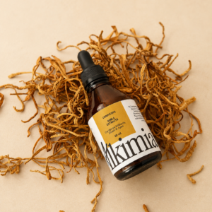 Extracto Cordyceps